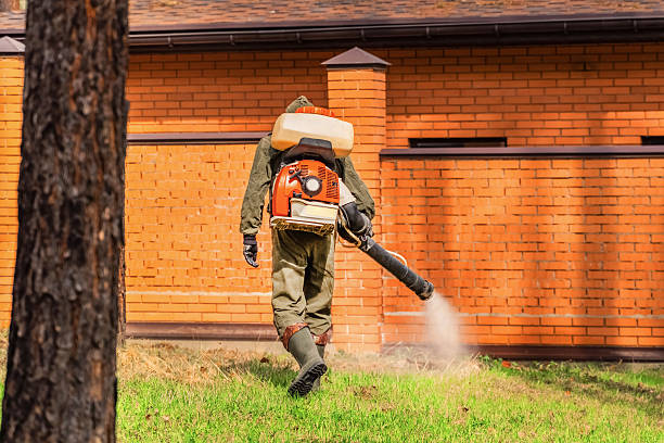 Trusted Cockroach Control service in Brighton, TN - Nex Pest Control